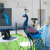Skaner 3D Creality CR-Scan Otter